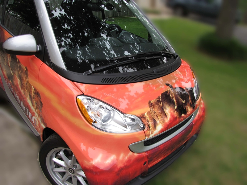 SmartCar/SmartCarComesTheTide6.JPG